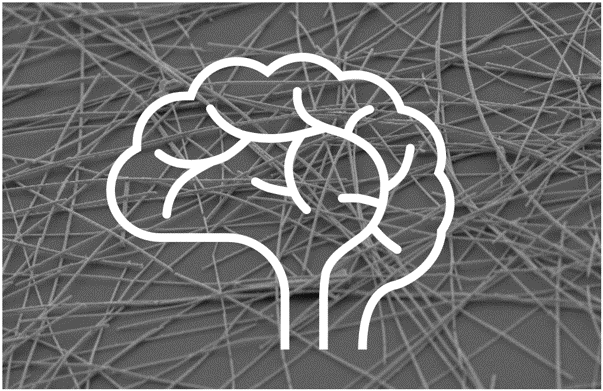 immagine evocativa di computazione neuromorfica in dispositivi basati su reti di nanofili autoassemblate
