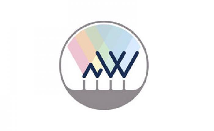 Nanowires EMPIR logo