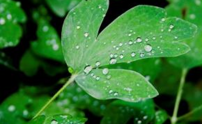 Campioni e trasduttori per l'igrometria e la temperatura dell’aria