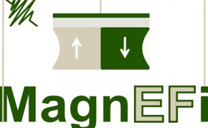 MAgnefi logo