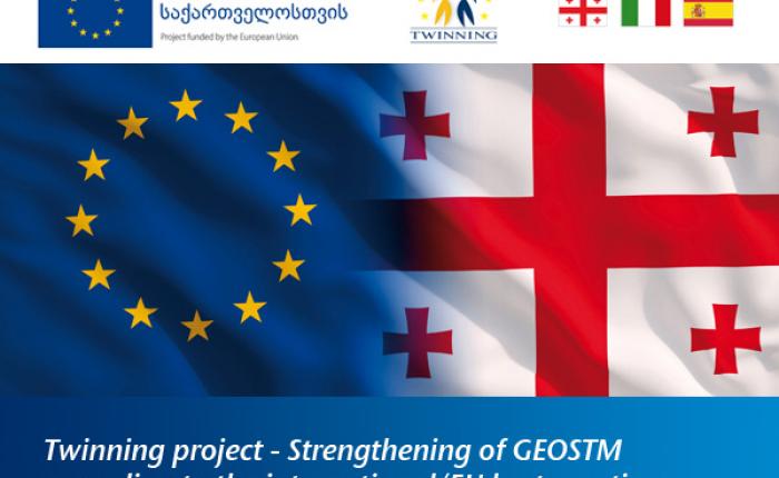 GeoSTM_Twinning