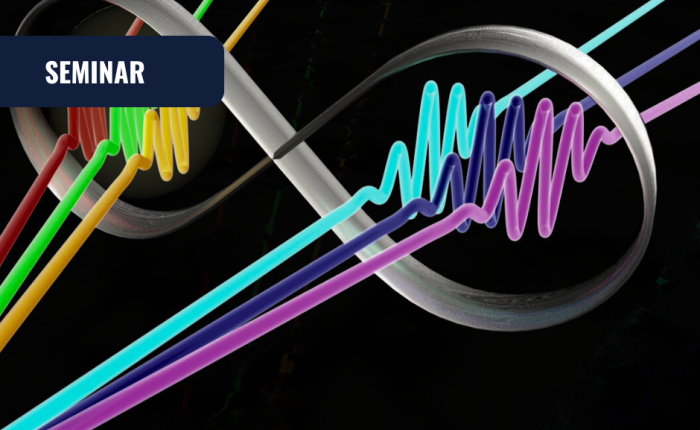 Banner Portale INRiM_Seminario con Lucia Caspani