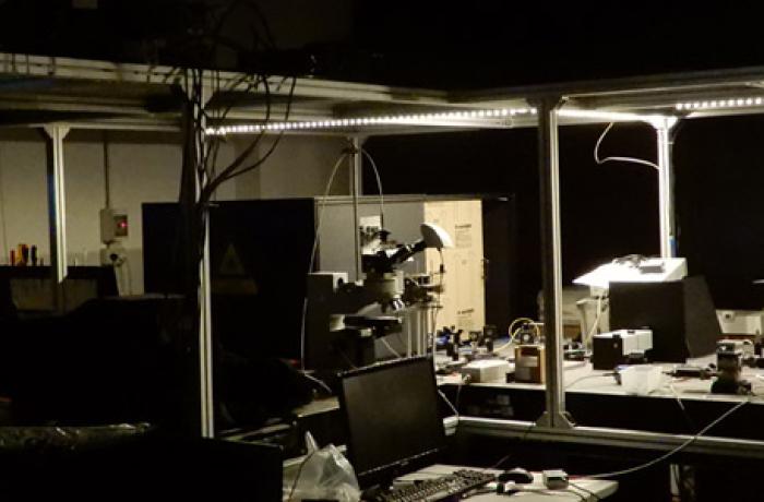 Laboratorio nanofotonica