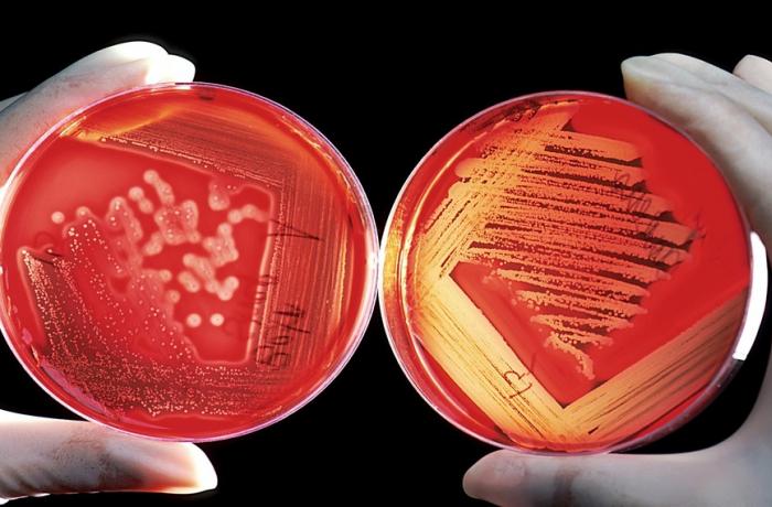 metrologia sicurezza biosafety