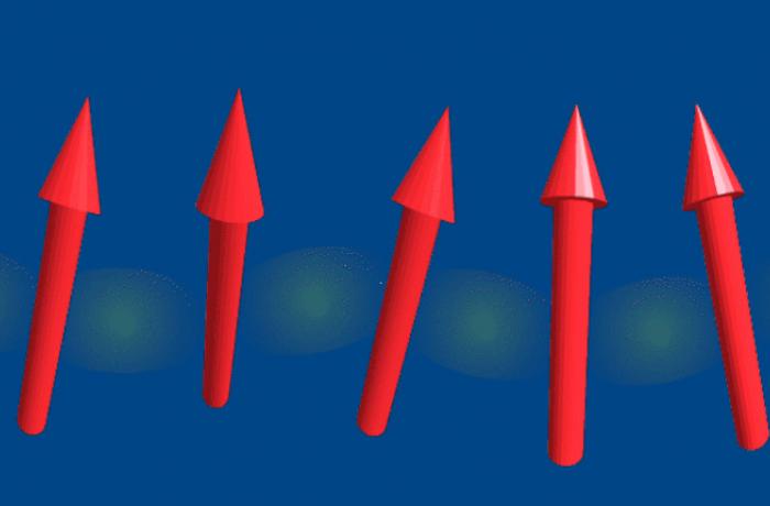 Quantum many-body theory spins