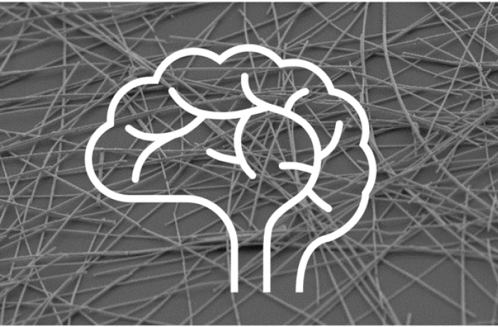 immagine evocativa di computazione neuromorfica in dispositivi basati su reti di nanofili autoassemblate