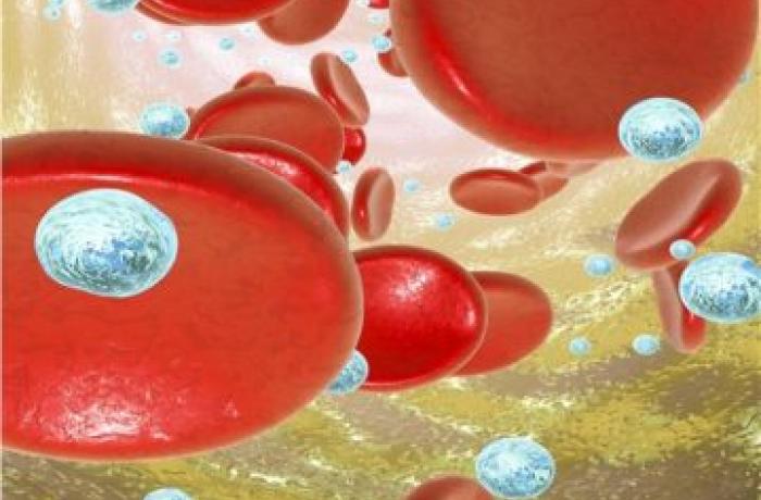 Nanocostrutto responsivo a ultrasuoni per teranostica antitumorale