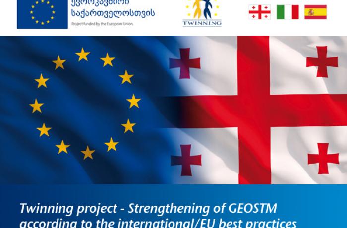 GeoSTM_Twinning