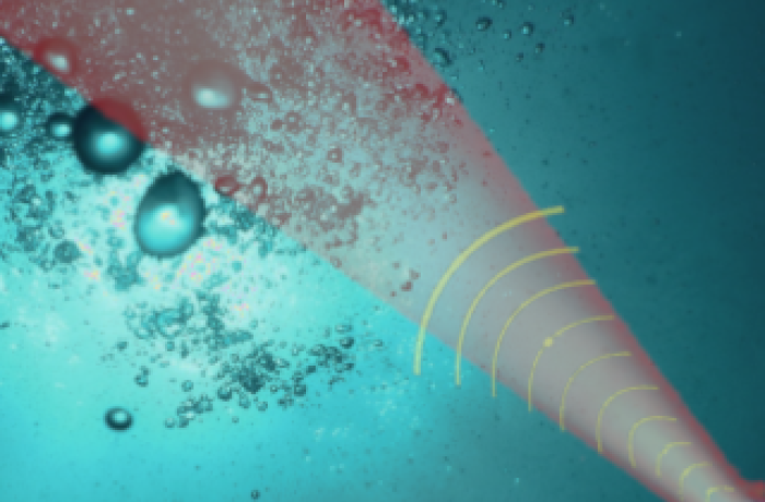 Sensor for measuring cavitation noise