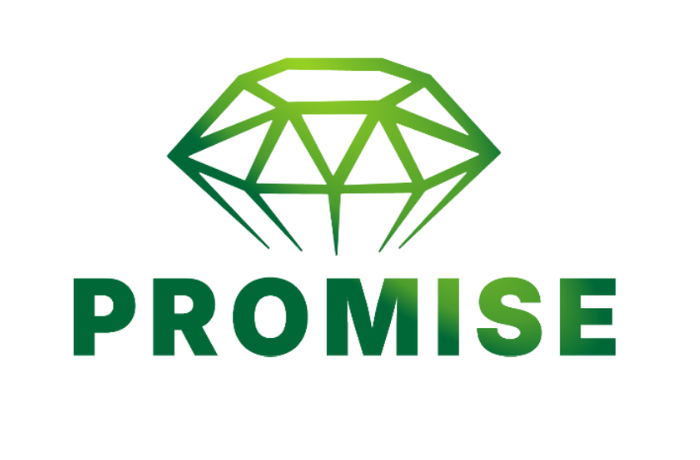 PROMISE LOGO