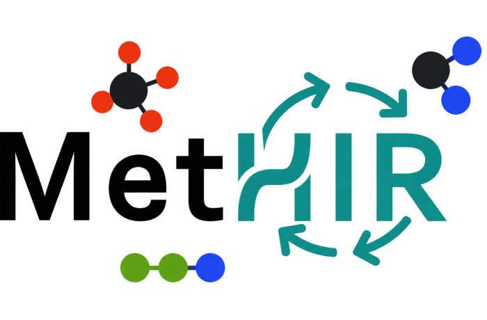Logo progetto MetHIR