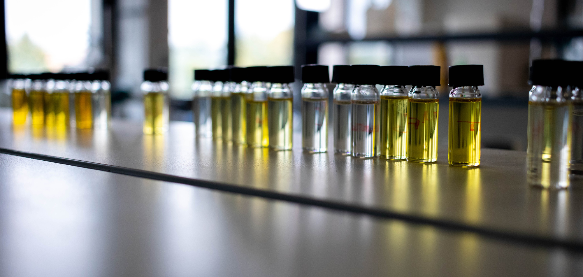 particolare laboratorio IMPreSA